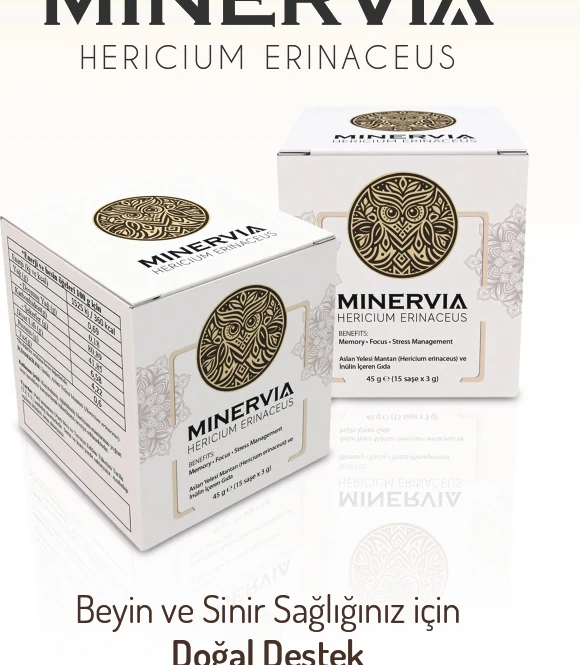 Minervia Hericium erinaceus ürün kutuları